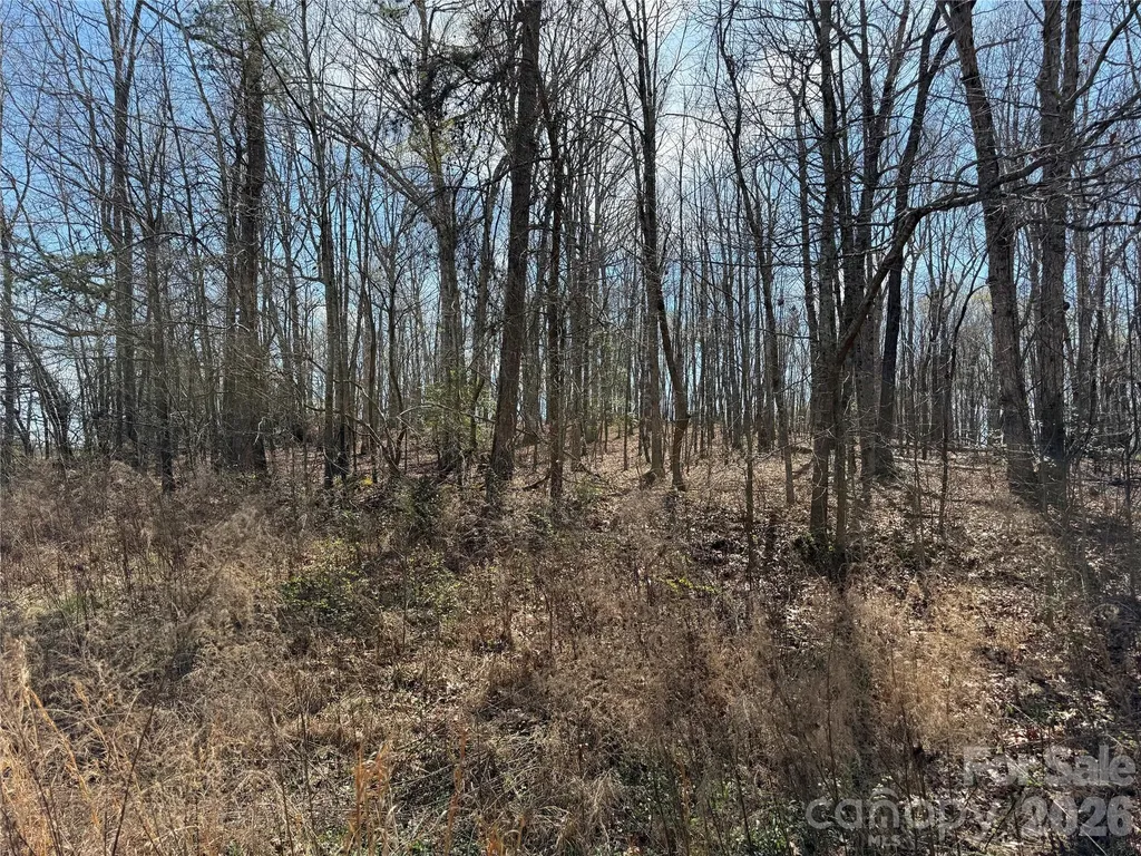 0 Ridge Creek Lane Lawndale NC 28168