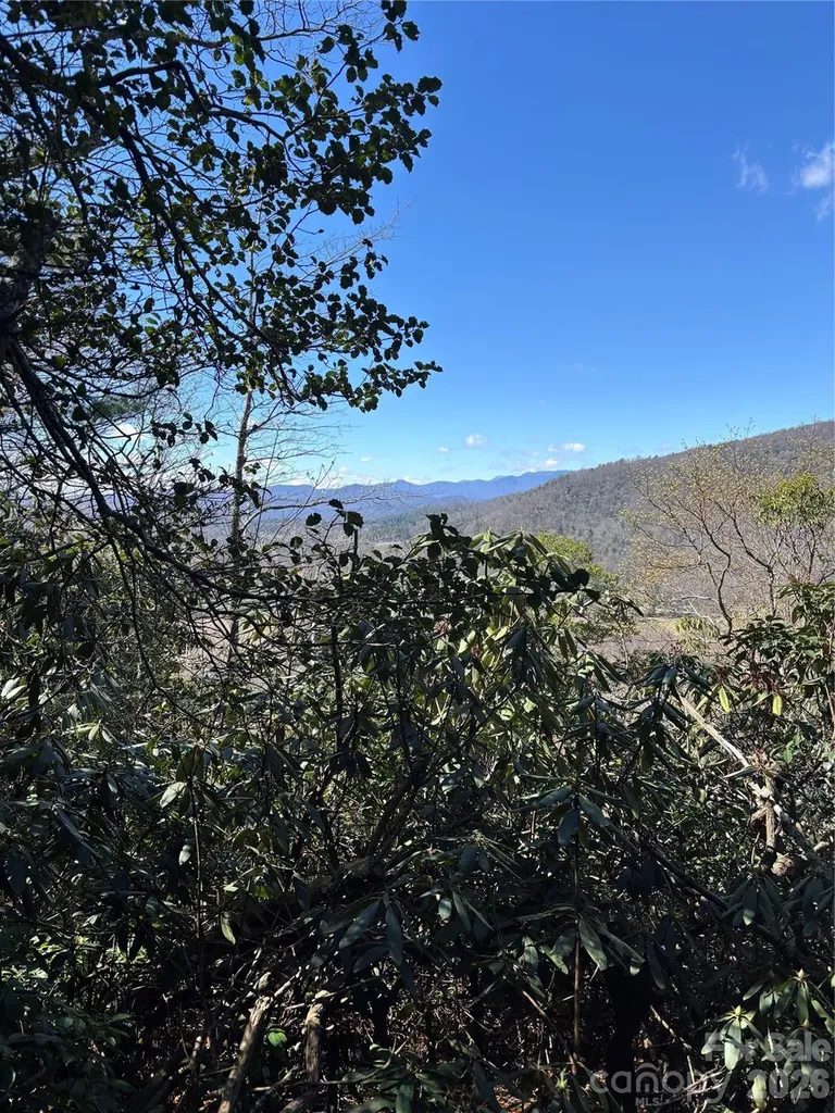 Tbd Top Of The Mountain Road Penrose NC 28766
