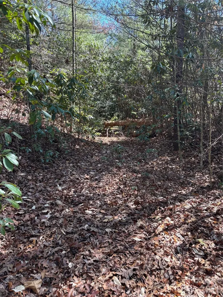 Tbd Top Of The Mountain Road Penrose NC 28766