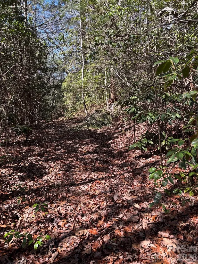 Tbd Top Of The Mountain Road Penrose NC 28766