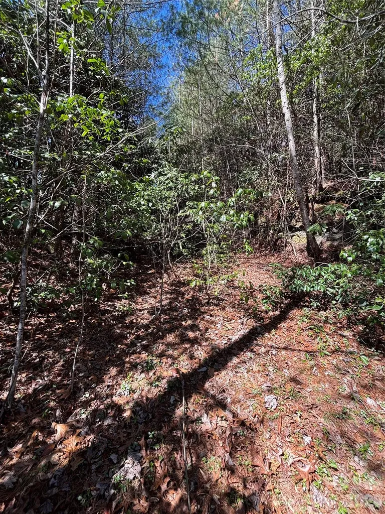 Tbd Top Of The Mountain Road Penrose NC 28766