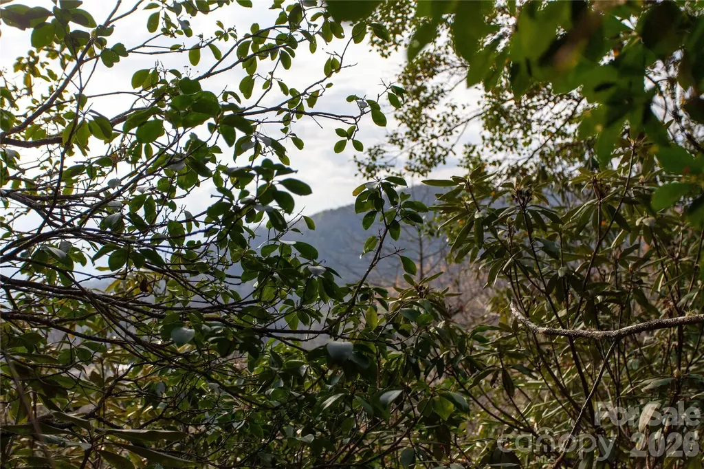 Tbd Top Of The Mountain Road Penrose NC 28766