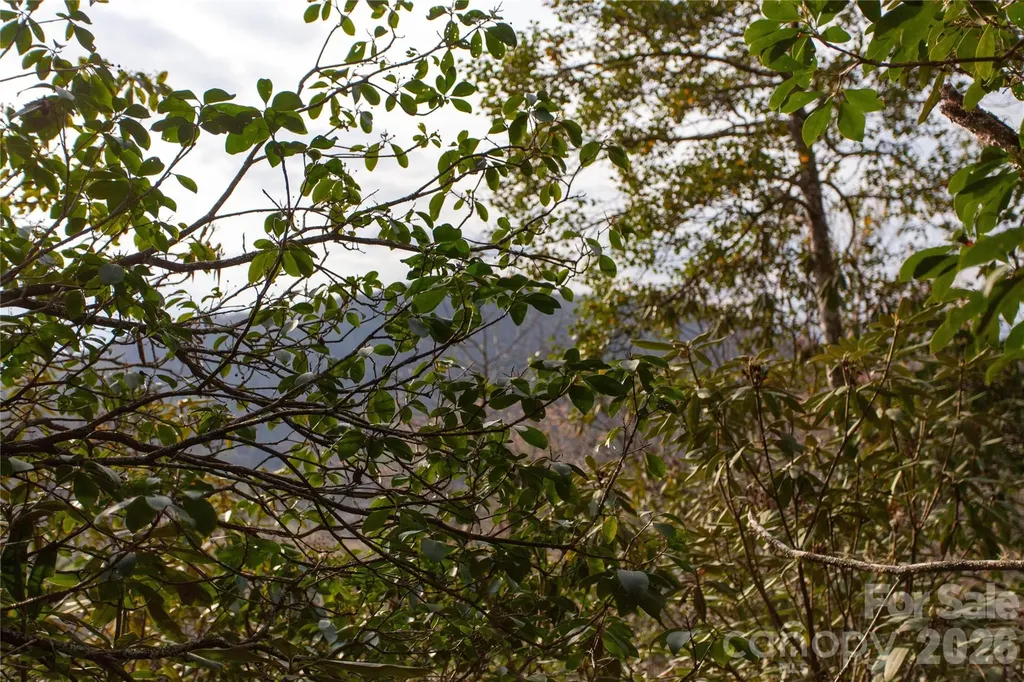 Tbd Top Of The Mountain Road Penrose NC 28766