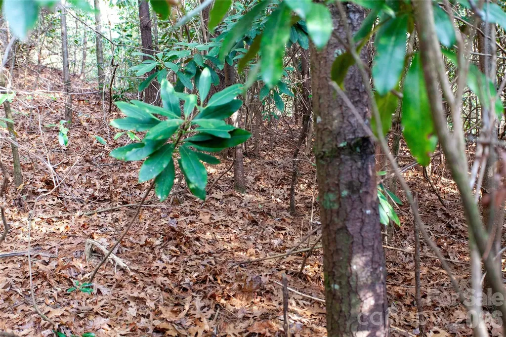 Tbd Top Of The Mountain Road Penrose NC 28766