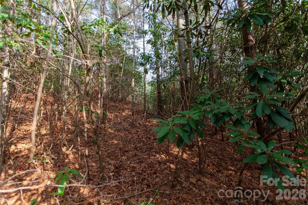 Tbd Top Of The Mountain Road Penrose NC 28766