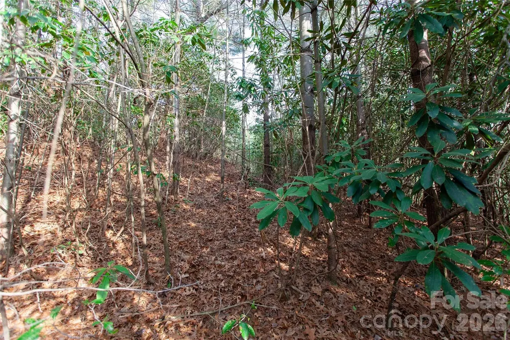Tbd Top Of The Mountain Road Penrose NC 28766