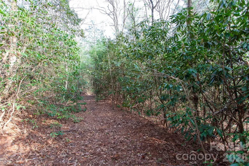 Tbd Top Of The Mountain Road Penrose NC 28766