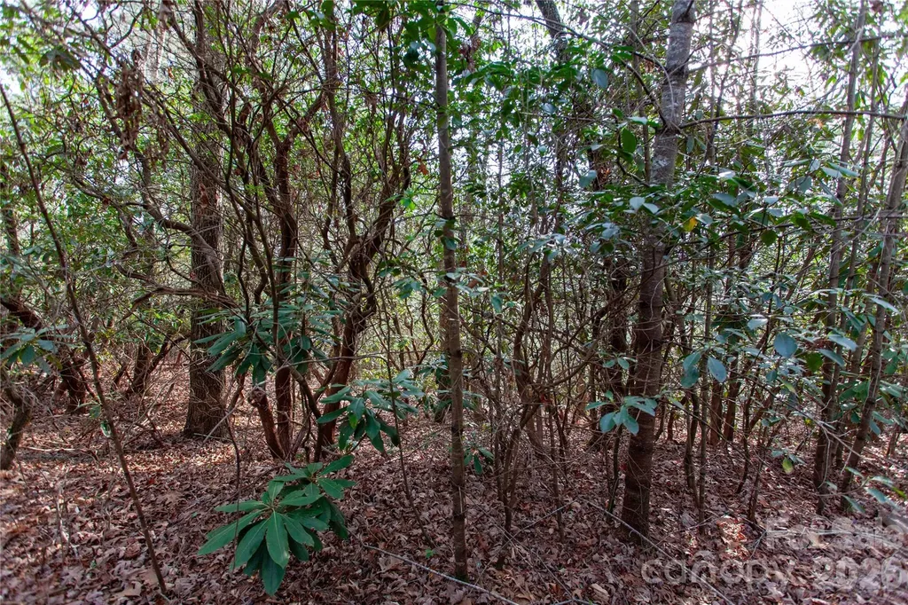 Tbd Top Of The Mountain Road Penrose NC 28766