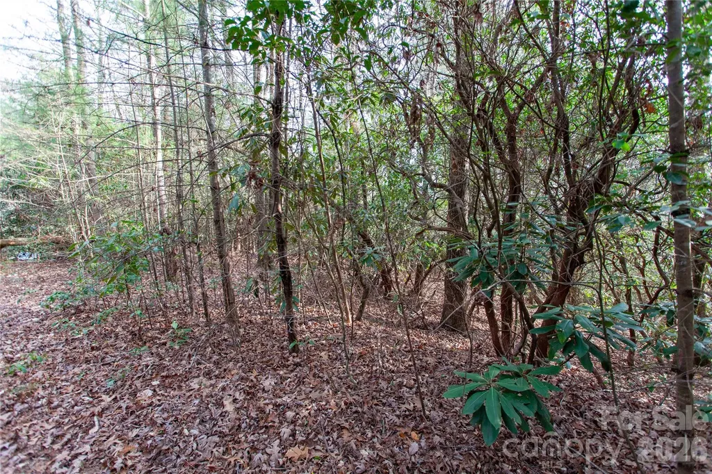 Tbd Top Of The Mountain Road Penrose NC 28766