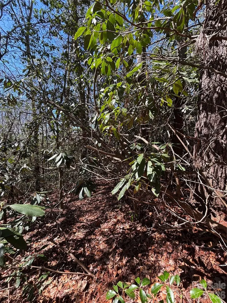 Tbd Top Of The Mountain Road Penrose NC 28766