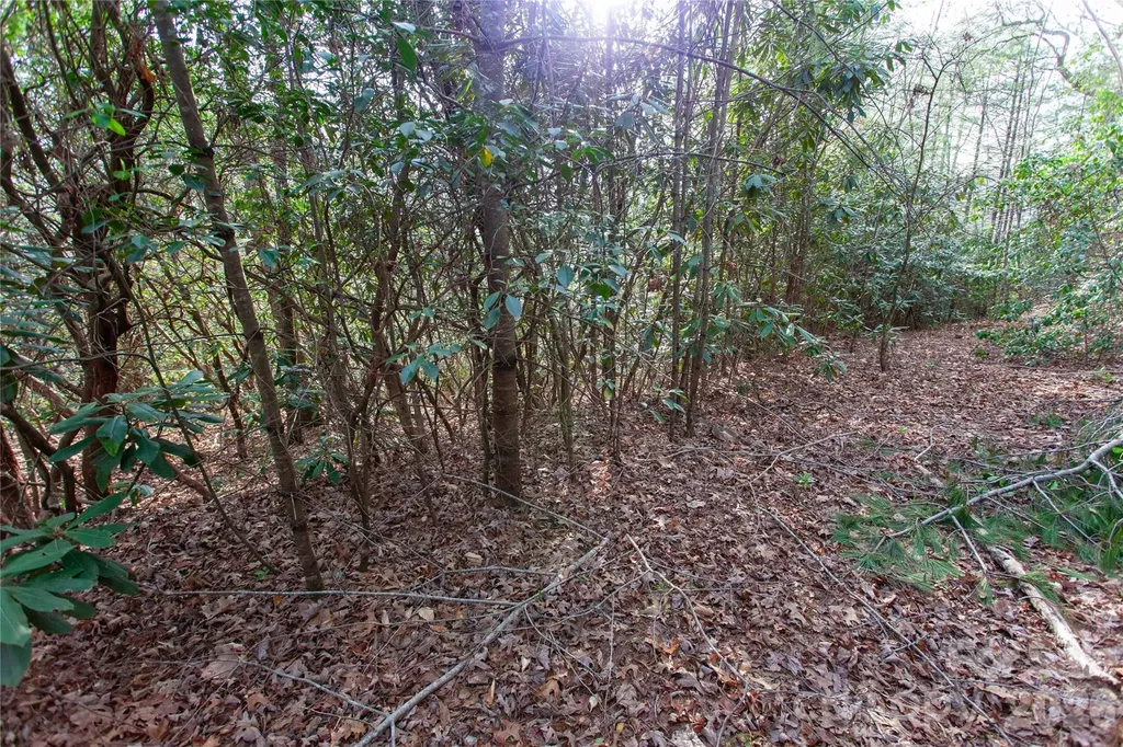Tbd Top Of The Mountain Road Penrose NC 28766