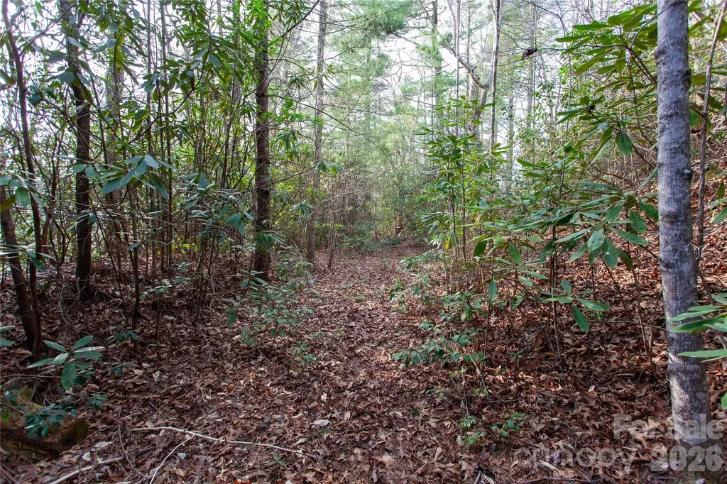 Tbd Top Of The Mountain Road Penrose NC 28766