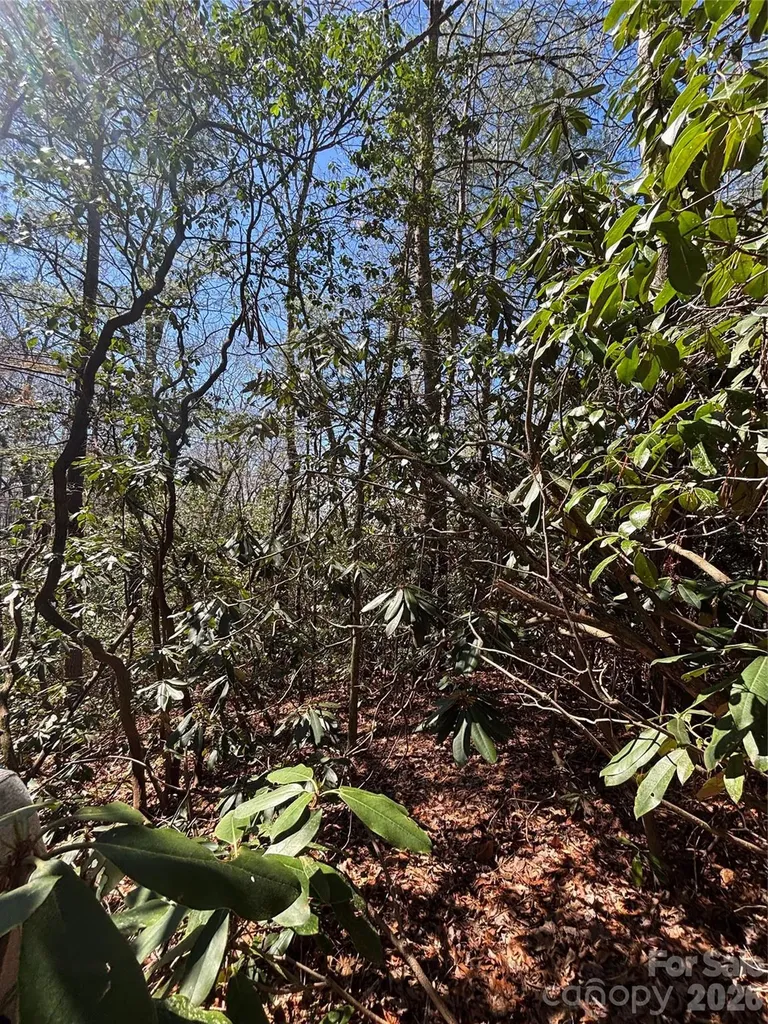 Tbd Top Of The Mountain Road Penrose NC 28766
