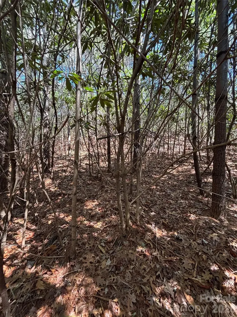 Tbd Top Of The Mountain Road Penrose NC 28766