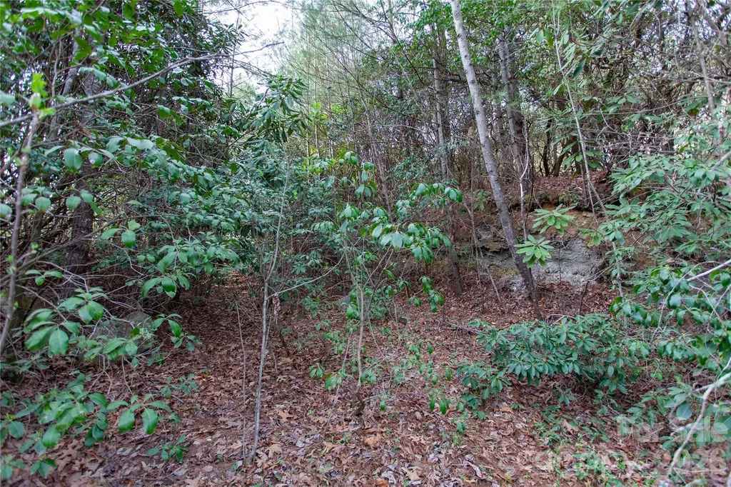 Tbd Top Of The Mountain Road Penrose NC 28766