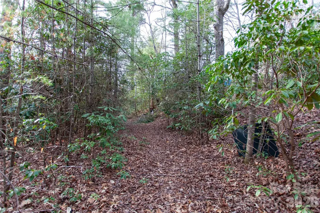 Tbd Top Of The Mountain Road Penrose NC 28766