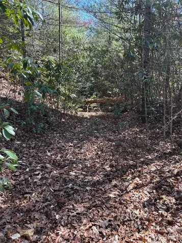 Tbd Top Of The Mountain Road Penrose NC 28766