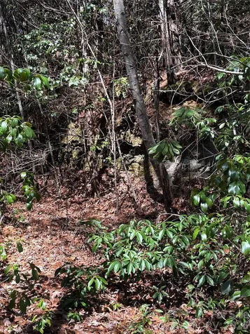 Tbd Top Of The Mountain Road Penrose NC 28766