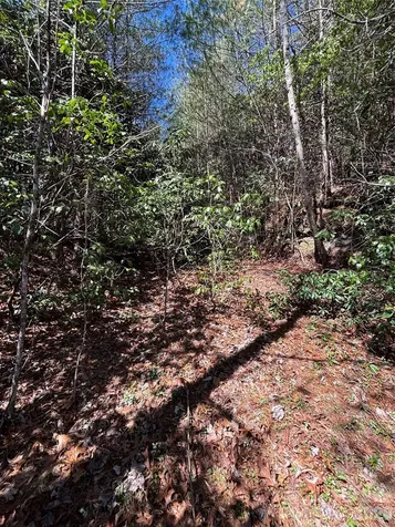 Tbd Top Of The Mountain Road Penrose NC 28766