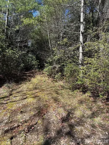 Tbd Top Of The Mountain Road Penrose NC 28766