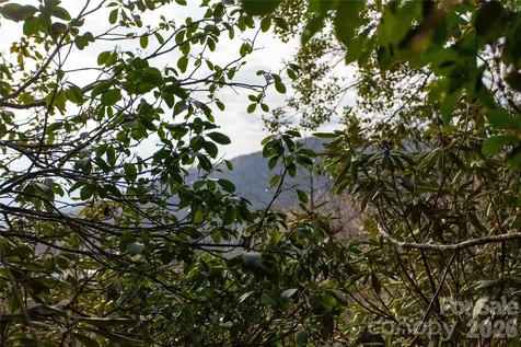 Tbd Top Of The Mountain Road Penrose NC 28766