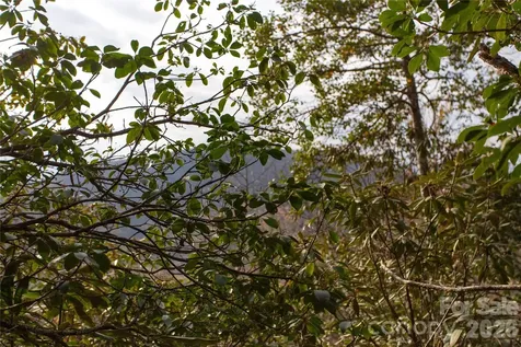 Tbd Top Of The Mountain Road Penrose NC 28766