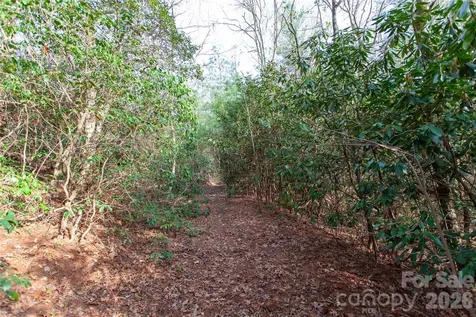 Tbd Top Of The Mountain Road Penrose NC 28766