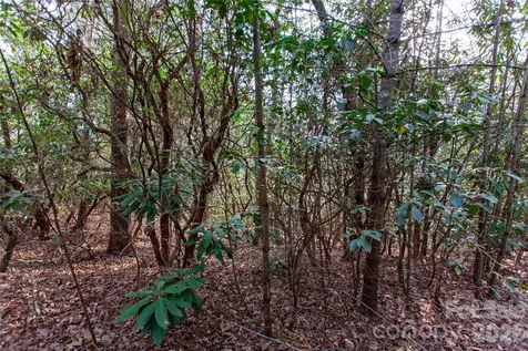 Tbd Top Of The Mountain Road Penrose NC 28766