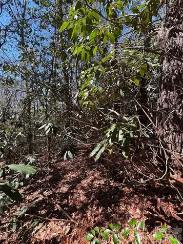 Tbd Top Of The Mountain Road Penrose NC 28766