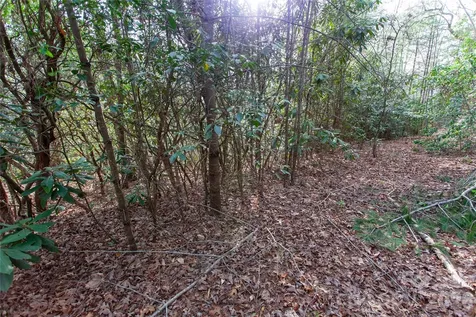 Tbd Top Of The Mountain Road Penrose NC 28766