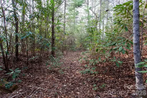Tbd Top Of The Mountain Road Penrose NC 28766