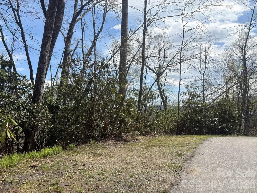 Tbd Swiss Pine Lake Drive Spruce Pine NC 28777