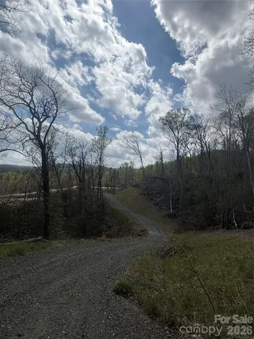 Tbd Swiss Pine Lake Drive Spruce Pine NC 28777