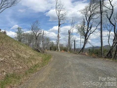 Tbd Swiss Pine Lake Drive Spruce Pine NC 28777
