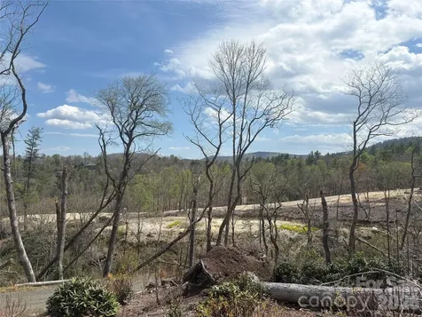 Tbd Swiss Pine Lake Drive Spruce Pine NC 28777