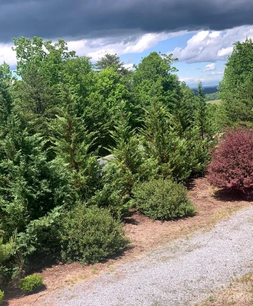 453 Grandview Peaks Drive Nebo NC 28761