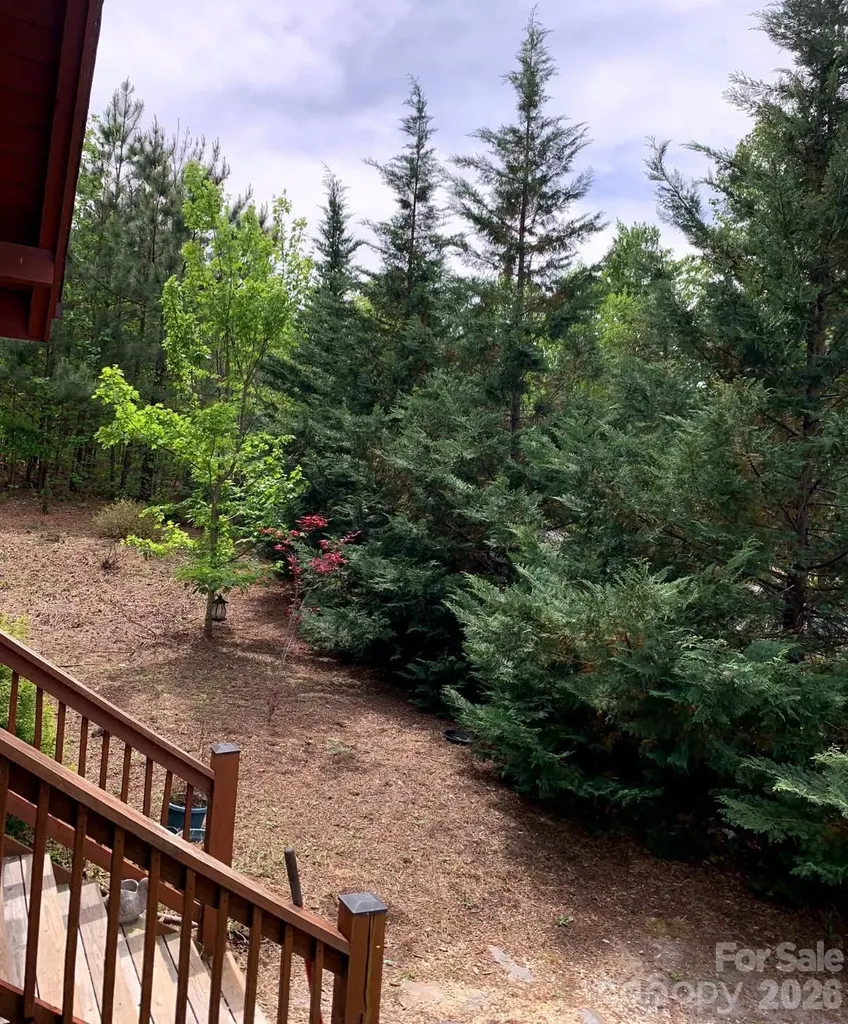 453 Grandview Peaks Drive Nebo NC 28761