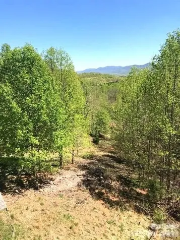453 Grandview Peaks Drive Nebo NC 28761