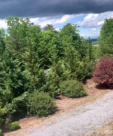 453 Grandview Peaks Drive Nebo NC 28761