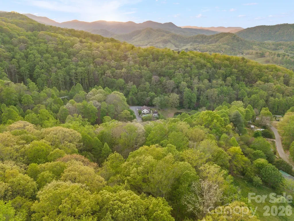 25 View Ridge Parkway Leicester NC 28748