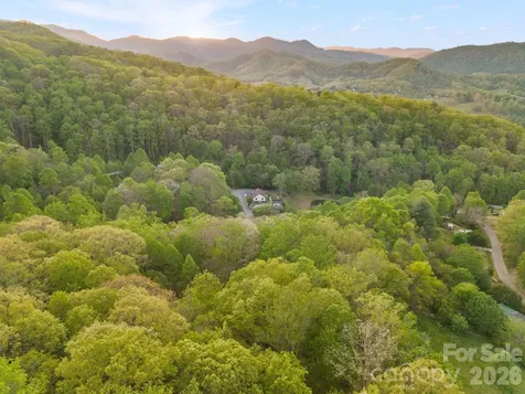 25 View Ridge Parkway Leicester NC 28748