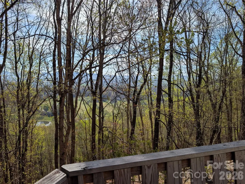 4 Wild Dogwood Trail Mills River NC 28759