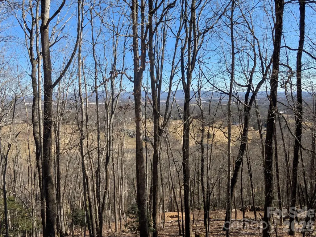 4 Wild Dogwood Trail Mills River NC 28759