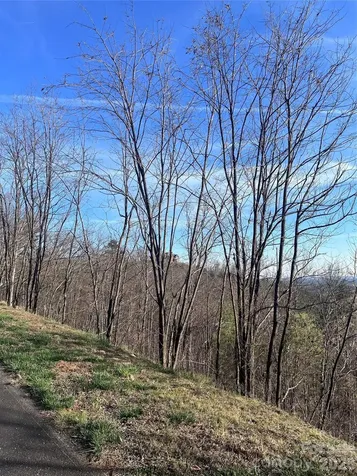 0 Bills Mountain Trail Lake Lure NC 28746
