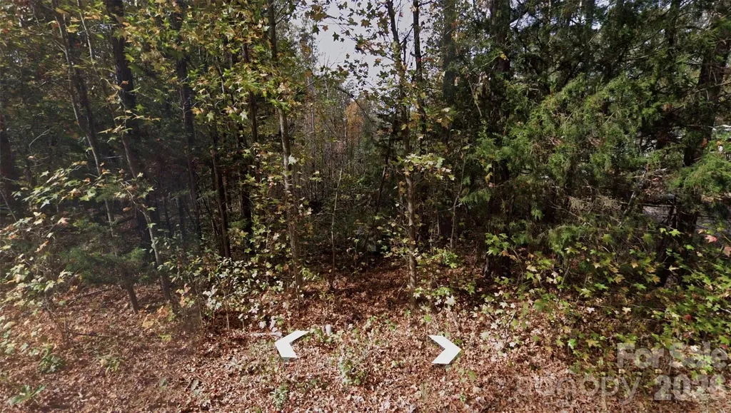 Lot 36 Smith Woods Lane Hickory Grove SC 29717