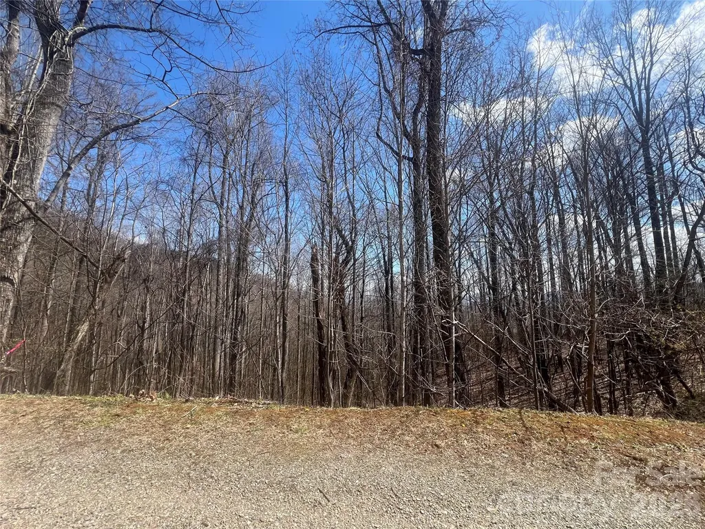 200 Wolverine Court Waynesville NC 28785