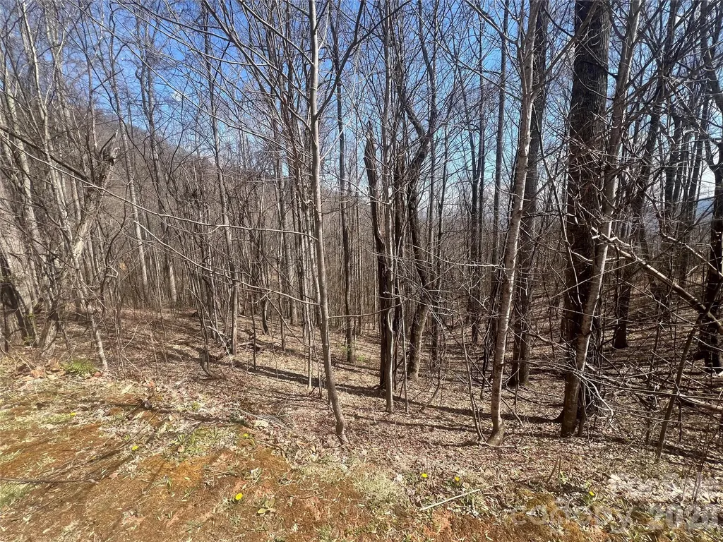 200 Wolverine Court Waynesville NC 28785