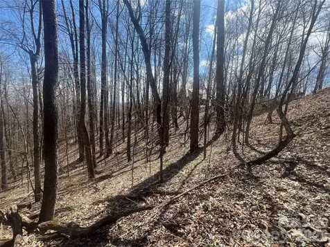 200 Wolverine Court Waynesville NC 28785