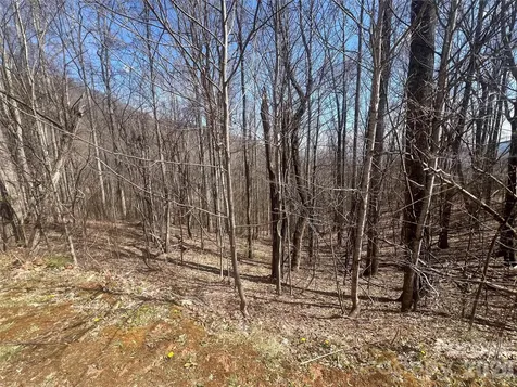 200 Wolverine Court Waynesville NC 28785
