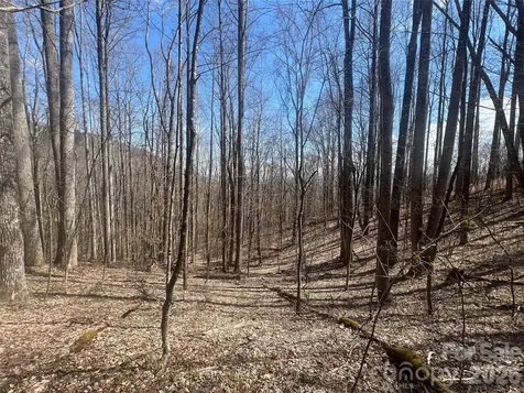 200 Wolverine Court Waynesville NC 28785
